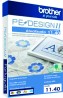 Wilcom E4.2h + Embird 2017 + Pedesign 11 completo